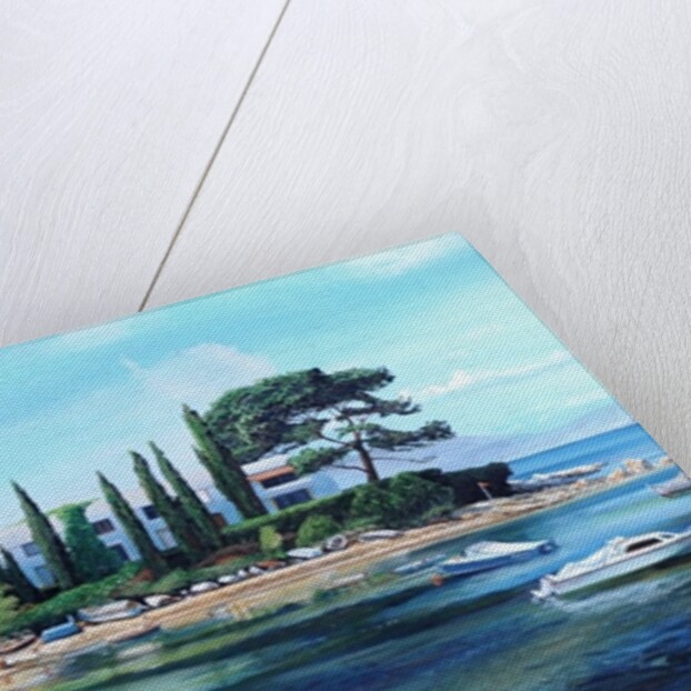 Villa and Boats, South of France by Trevor Neal