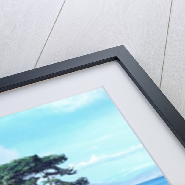 Villa and Boats, South of France by Trevor Neal