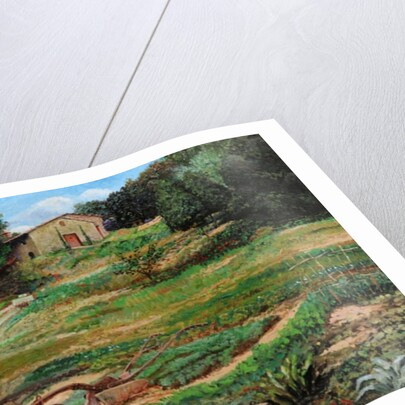 Plough, Cortona, 1999 by Trevor Neal