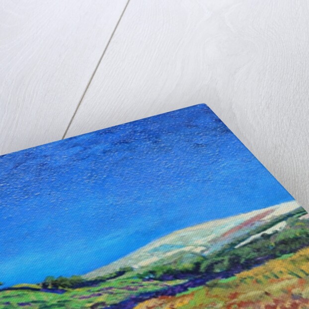 Derbyshire landscape, 1999 by Trevor Neal