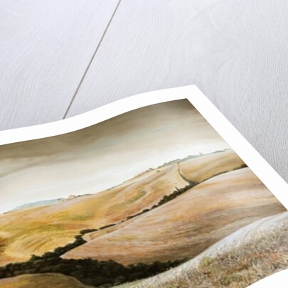 Farm on Hill, Tuscany, 2001 by Trevor Neal