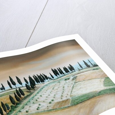 Villa on Hill, Tuscany, 2001 by Trevor Neal