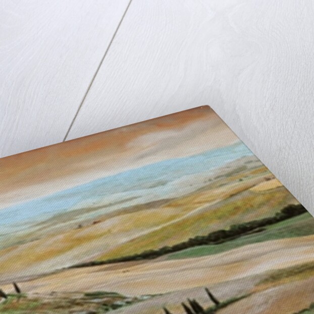 Belvedere, Tuscany, 2001 by Trevor Neal