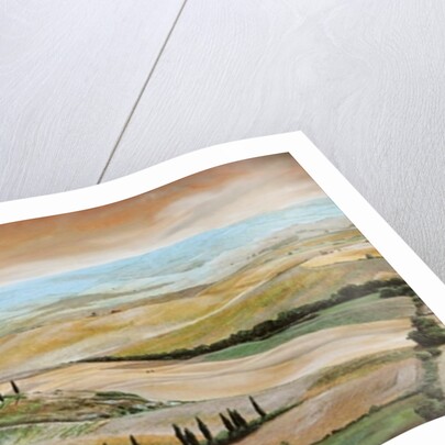 Belvedere, Tuscany, 2001 by Trevor Neal