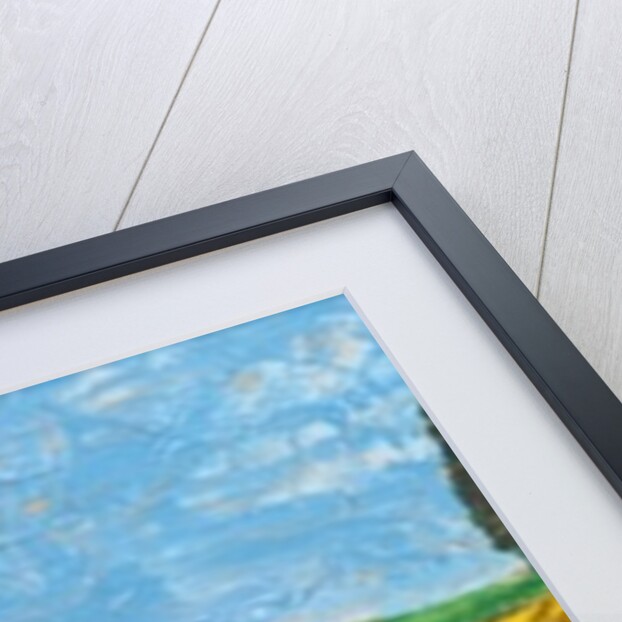 Two Trees, Rolling Hills, Tuscany, 2005 by Trevor Neal