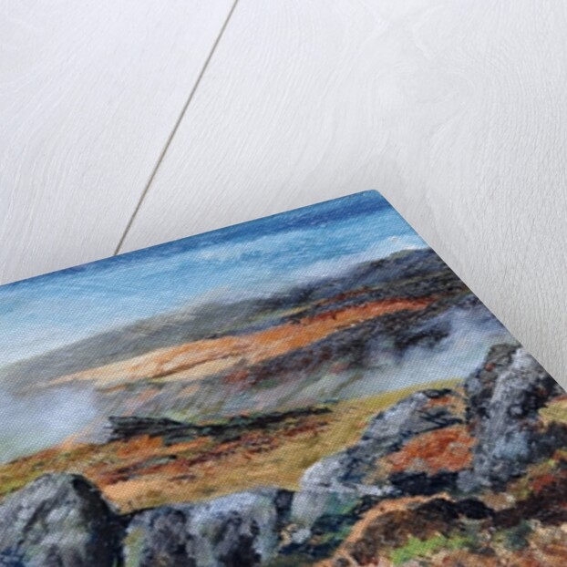 Langdales top, Cumbria, 2008 by Trevor Neal