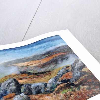 Langdales top, Cumbria, 2008 by Trevor Neal