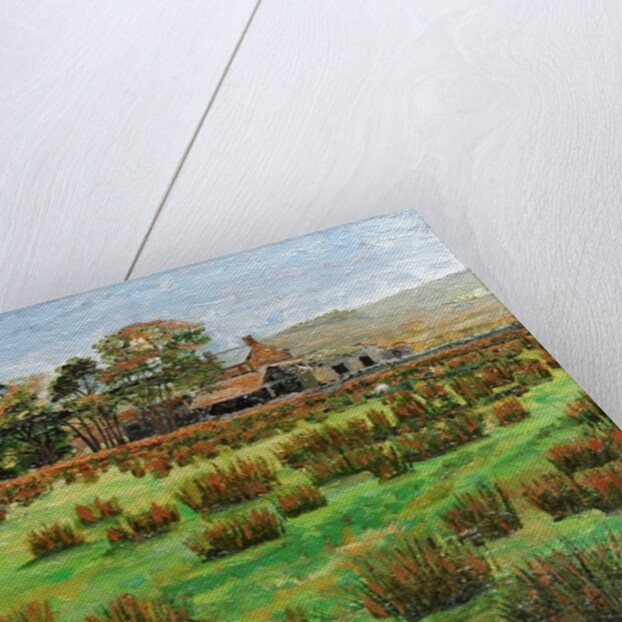 Farm Cumbria, 2008 by Trevor Neal