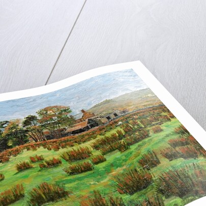 Farm Cumbria, 2008 by Trevor Neal