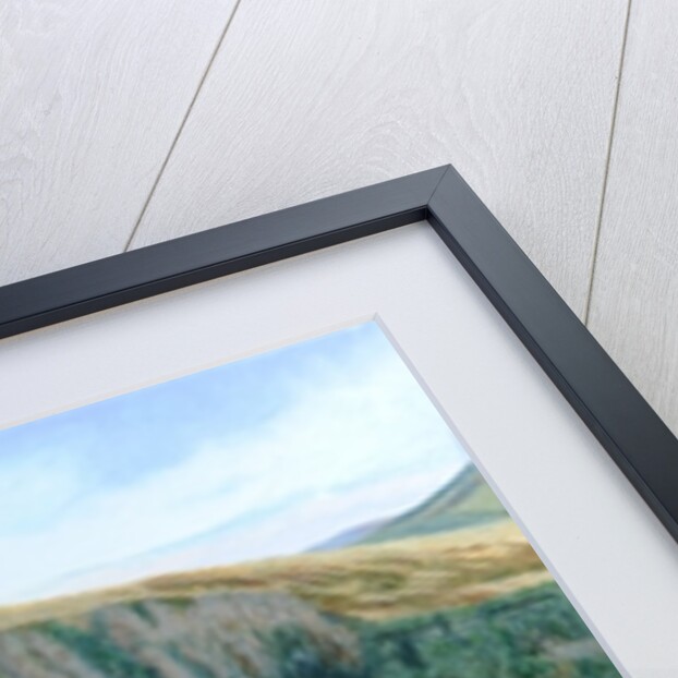 Sheep Feeding, 2004 by Trevor Neal