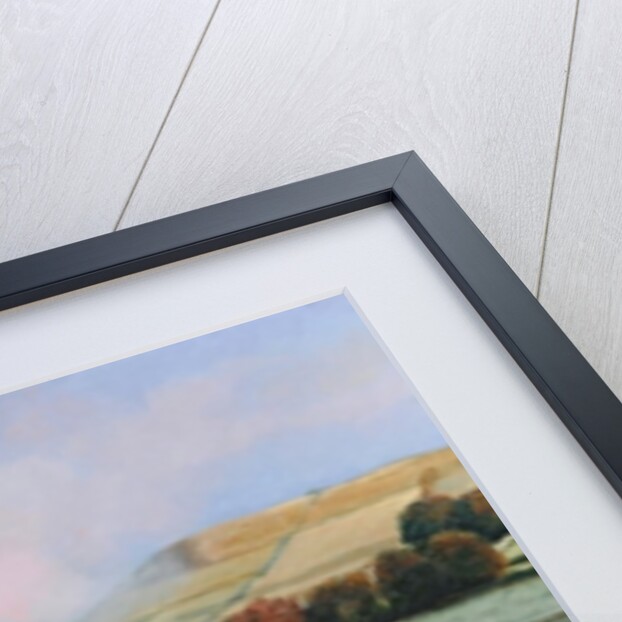 Ladybower Reservoir, Derbyshire, 2009 by Trevor Neal