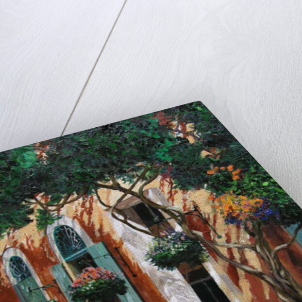 Doors and windows, Pietrasanta, Tuscany, 2000 by Trevor Neal