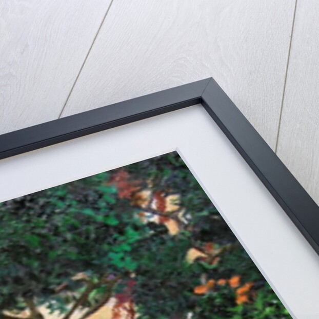 Doors and windows, Pietrasanta, Tuscany, 2000 by Trevor Neal