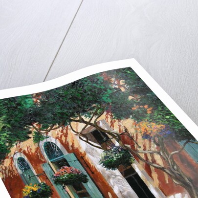 Doors and windows, Pietrasanta, Tuscany, 2000 by Trevor Neal