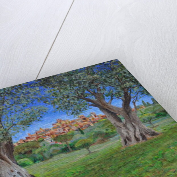 View of Cagnes Sur Mer from Renoir's garden, 2017 by Trevor Neal