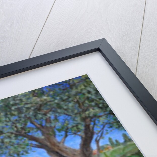 View of Cagnes Sur Mer from Renoir's garden, 2017 by Trevor Neal