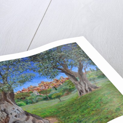 View of Cagnes Sur Mer from Renoir's garden, 2017 by Trevor Neal