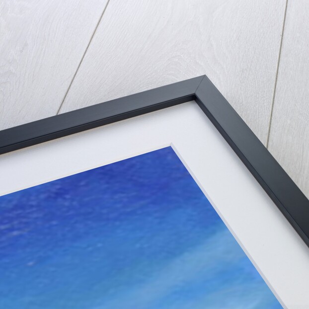 Santorini 8, 2010 by Trevor Neal