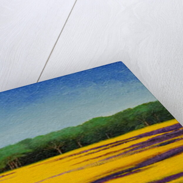 Tuscan Landcape, 2010 by Trevor Neal