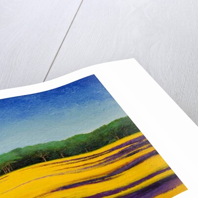 Tuscan Landcape, 2010 by Trevor Neal