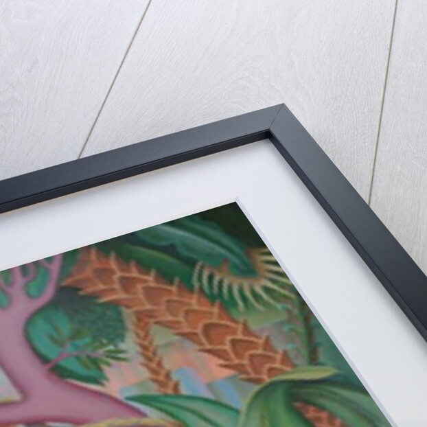 Lily Arum, 2019 by Trevor Neal