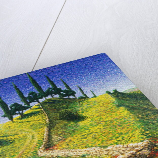 Spanish Hill Top, 1992 by Trevor Neal