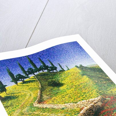 Spanish Hill Top, 1992 by Trevor Neal