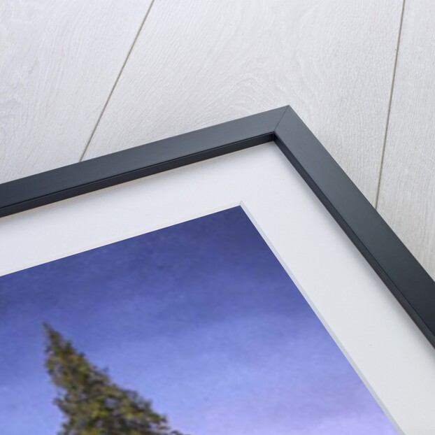 Treescape, 1992 by Trevor Neal