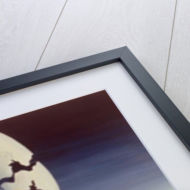 Eggs, 1971 by Trevor Neal