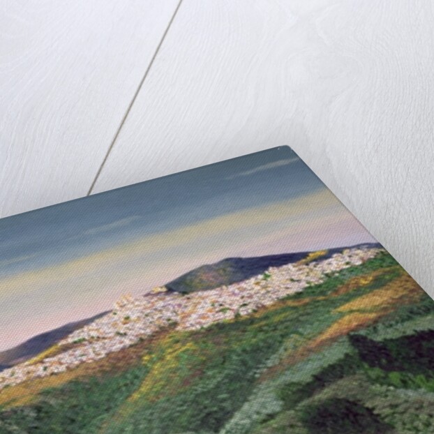 No. 127, 1992 by Trevor Neal