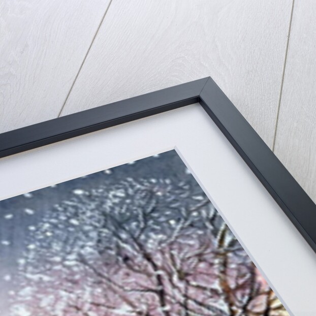 Tower Bridge, 2005 by Tony Todd