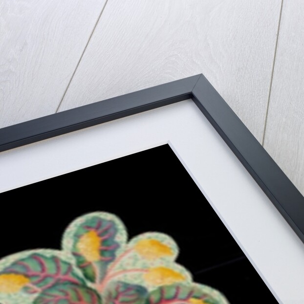 Mrs T's B & B 1, 2010 by Tony Todd