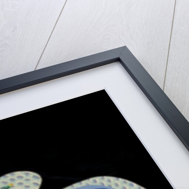 Mrs T's B&B 2, 2010 by Tony Todd