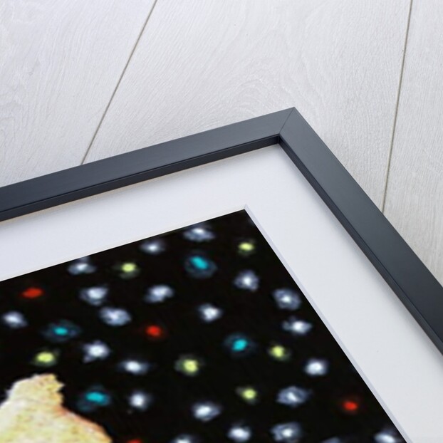 Uncle Albert's quickstep wows Amanda at the Plaza by Tony Todd