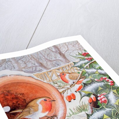 Christmas Robins by Tony Todd