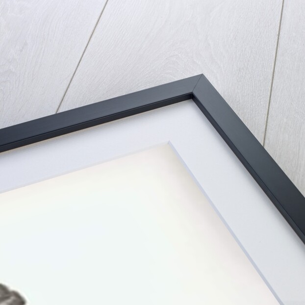 An Oar-Maker from the Venetian Arsenal by Jan van Grevenbroeck