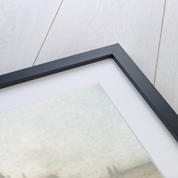 Umbrellas, Charles Bridge, Prague by Trevor Chamberlain