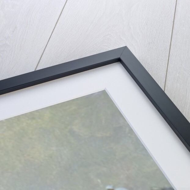 Snow in the Tuilleries, Paris, 1996 by Trevor Chamberlain