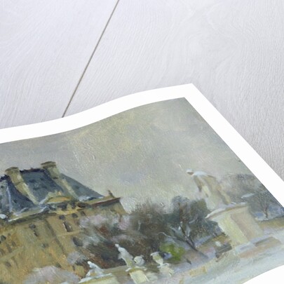 Snow in the Tuilleries, Paris, 1996 by Trevor Chamberlain