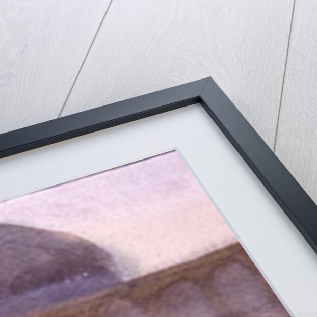 Horse and Carriage, Naghshe Jahan Square, Isfahan by Trevor Chamberlain