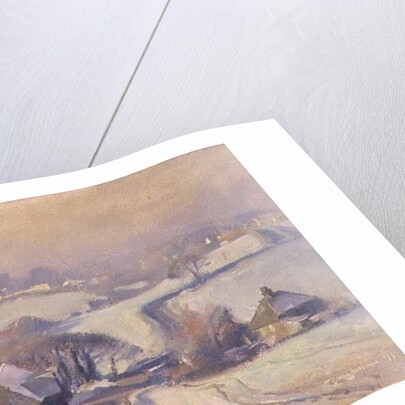 Frosty fields, Aston, 1991 by Trevor Chamberlain