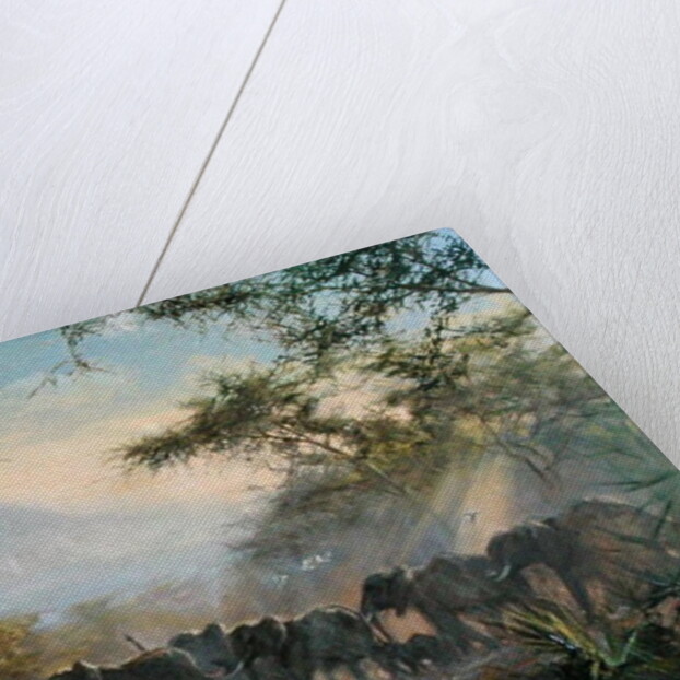 Elephant, Kilimanjaro, 1995 by Tim Scott Bolton