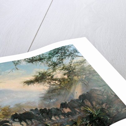 Elephant, Kilimanjaro, 1995 by Tim Scott Bolton