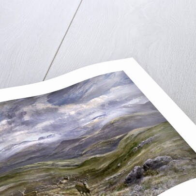 Kinrara, Aviemore, Scotland, 1988 by Tim Scott Bolton