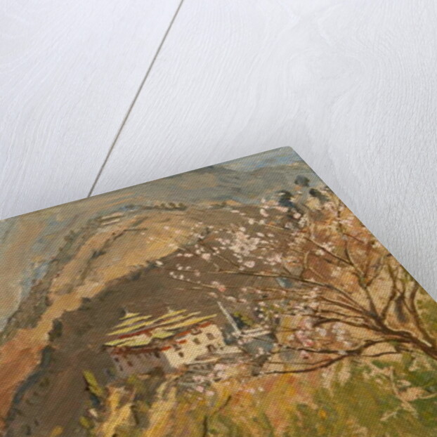 Tashigang Dzong by Tim Scott Bolton