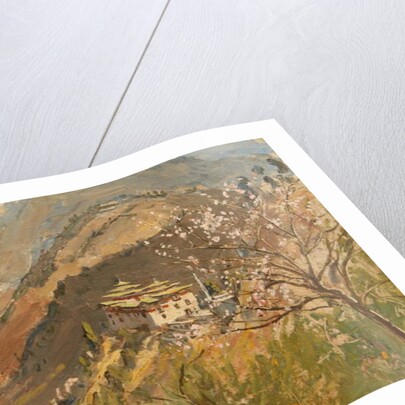 Tashigang Dzong by Tim Scott Bolton