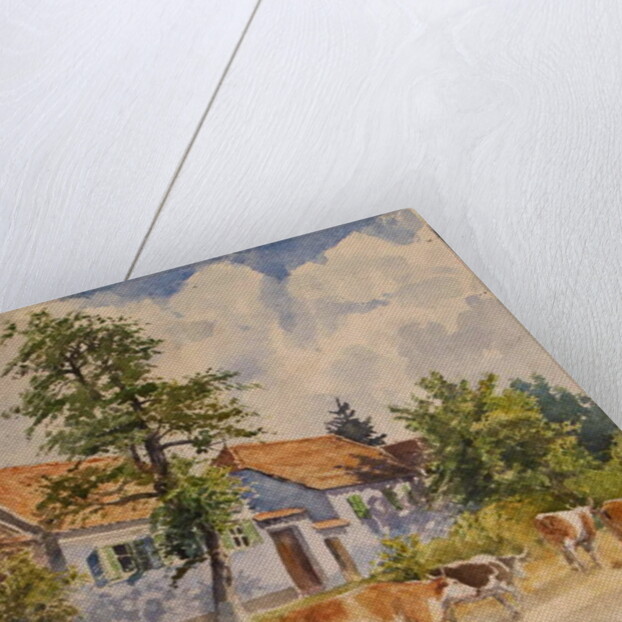 Viscri House Cows, 2015 by Tim Scott Bolton