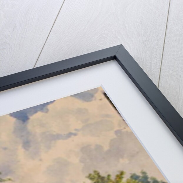 Viscri House Cows, 2015 by Tim Scott Bolton