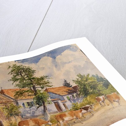 Viscri House Cows, 2015 by Tim Scott Bolton