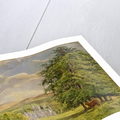 Bulls at Balmoral, 1988 by Tim Scott Bolton